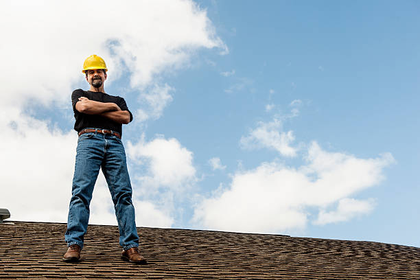 Best Gutter Installation and Roofing  in Harvey, ND